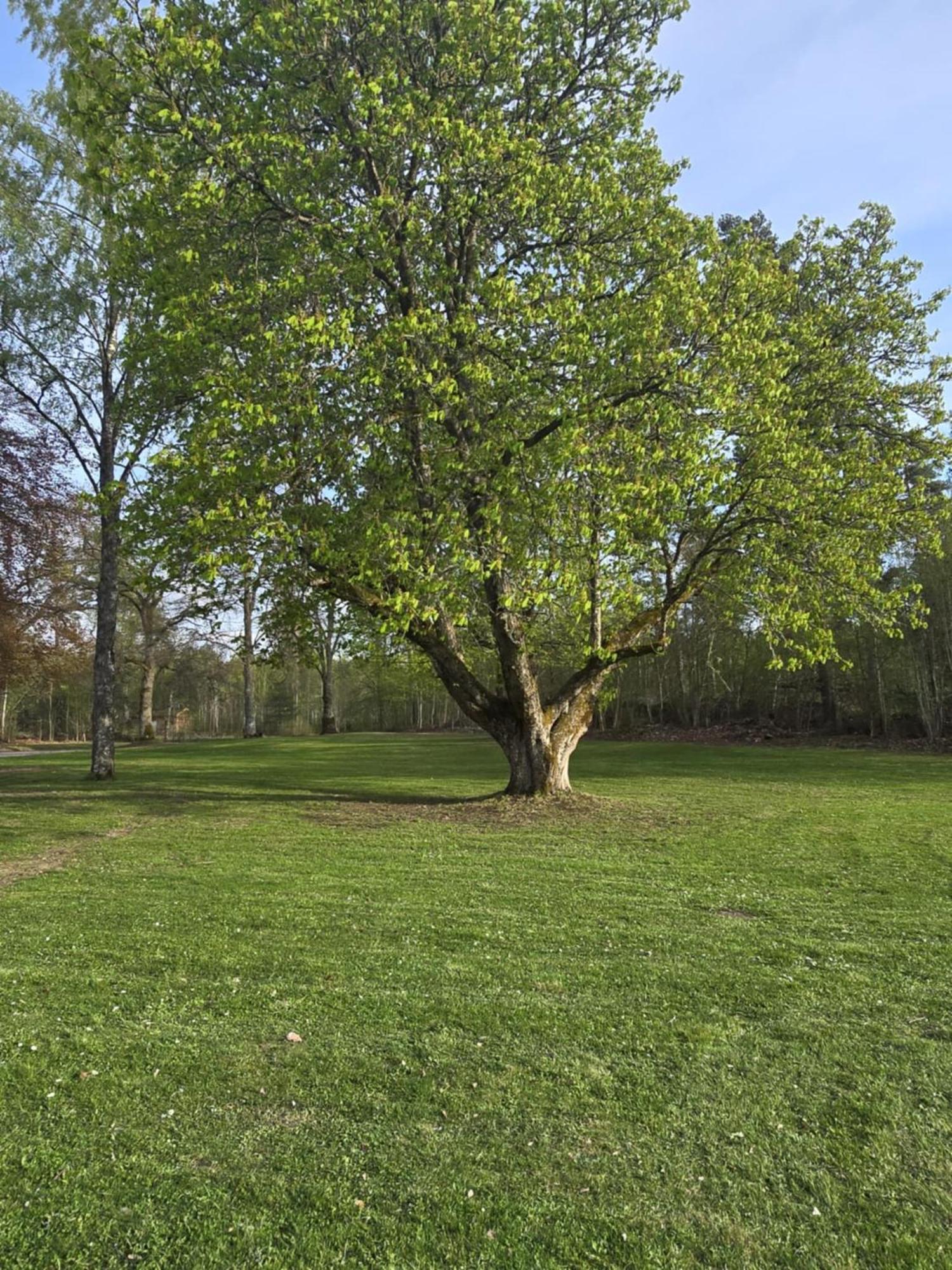 Stora Ekeberg Vandrarhem Axvall Zewnętrze zdjęcie